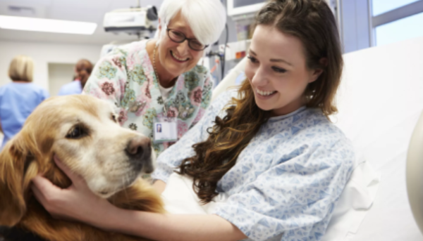 Animal Reiki