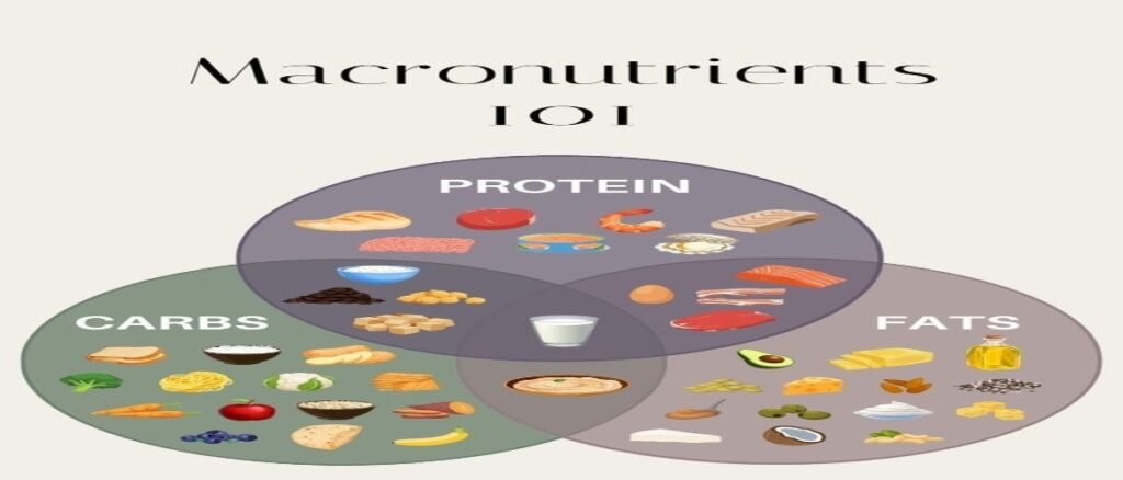 Macronutrients 101: The Role of Carbs, Proteins, and Fats